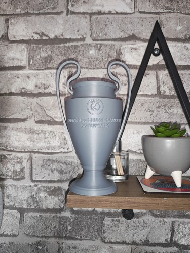 Champions league trophy - champions,